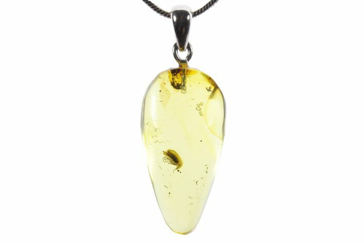 Polished Baltic Amber Pendant (Necklace) - Contains Beetle! #352962